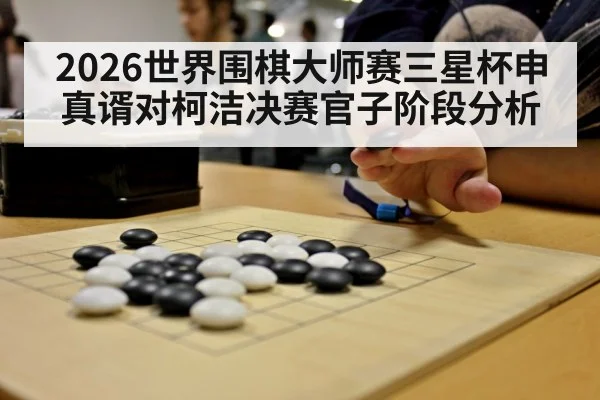 2026世界围棋大师赛三星杯申真谞对柯洁决赛官子阶段分析